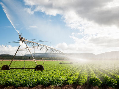 A crop field being sprayed on a sunny day