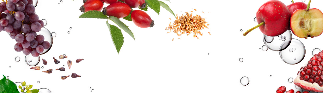 Fresh fruit on a white background