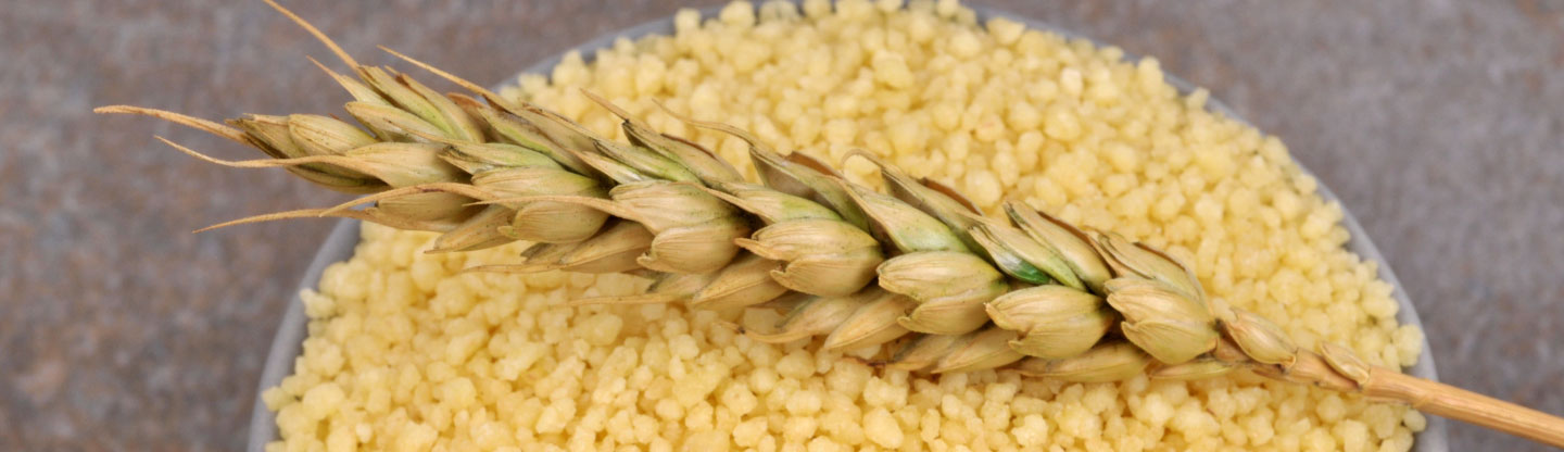 An ear of wheat