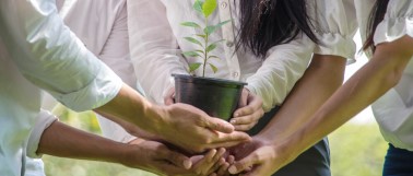 Hands holding a plant